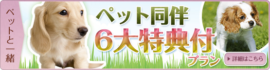 ペット同伴 6大特典付きプラン